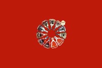 青山回收红酒
